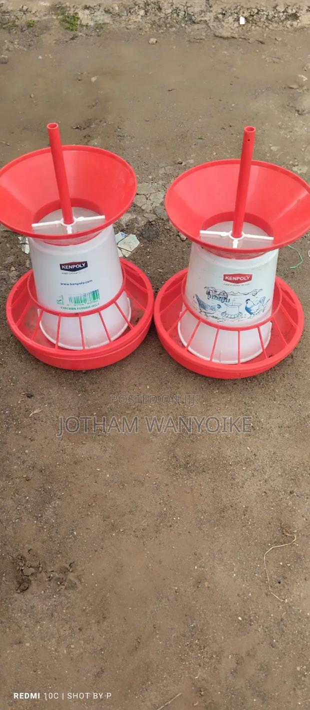 Chicken Feeders