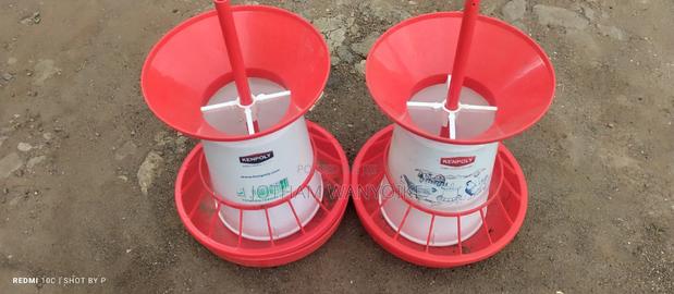 Chicken Feeders - thumbnail 2