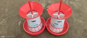 Chicken Feeders