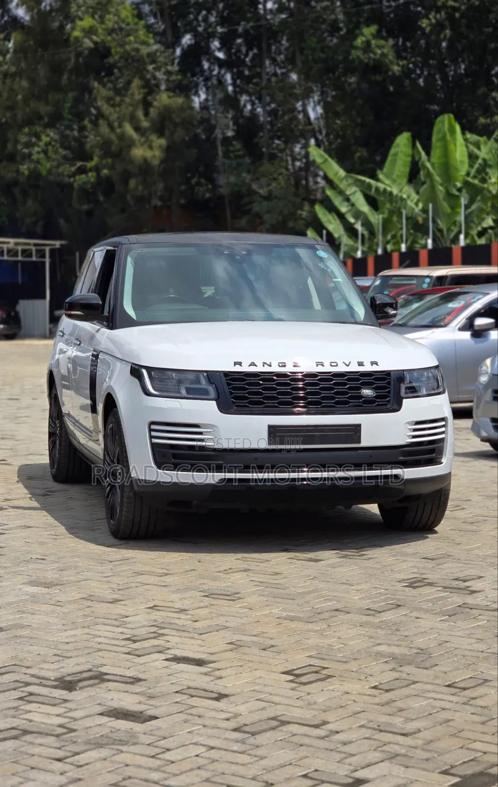 Rover Land 2019 White