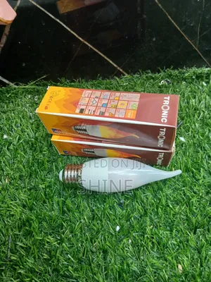 Led Frame Bulb