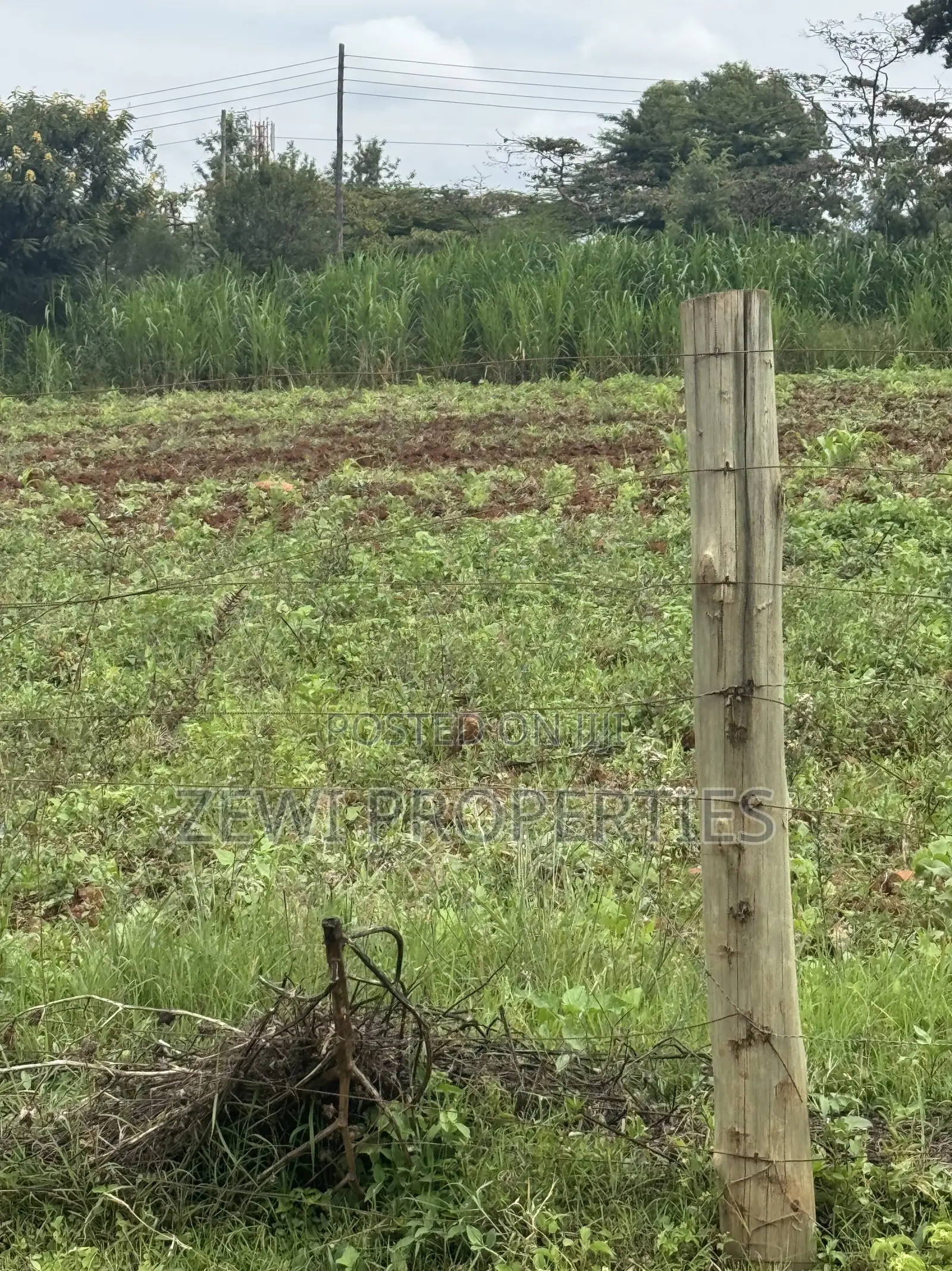 Prime Half Acre Nkoroi