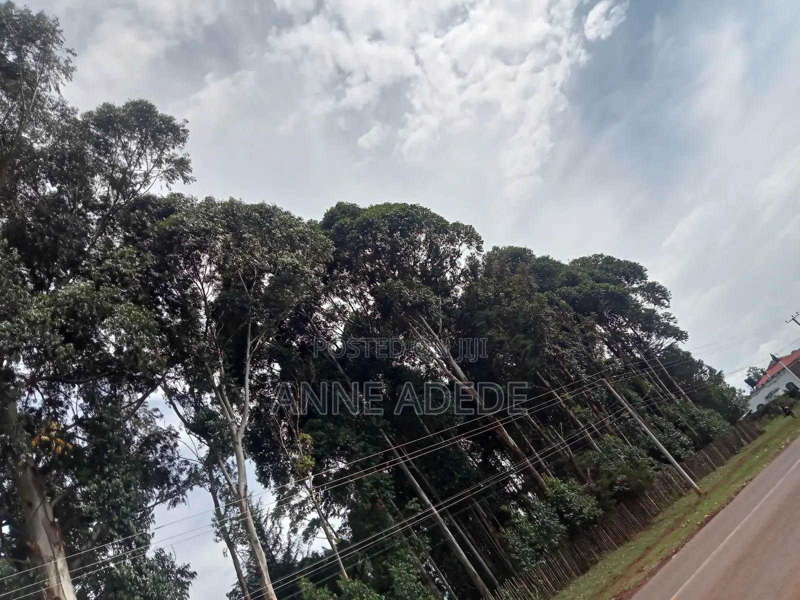 Plot for Sale