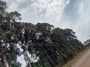 Plot for Sale