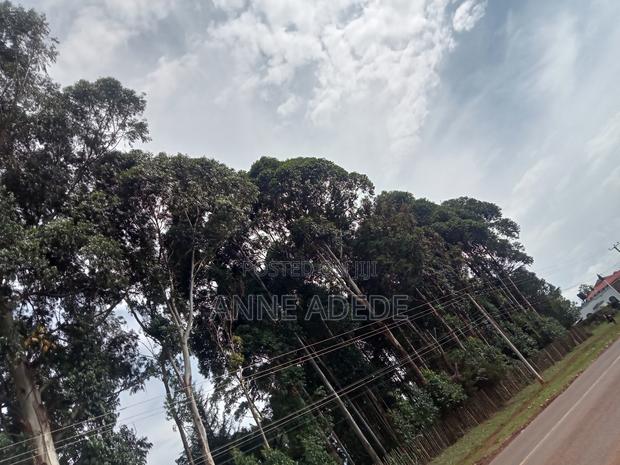 Plot for Sale - thumbnail 2