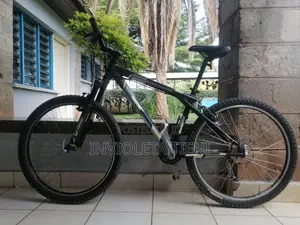 Gt Mountain Bike