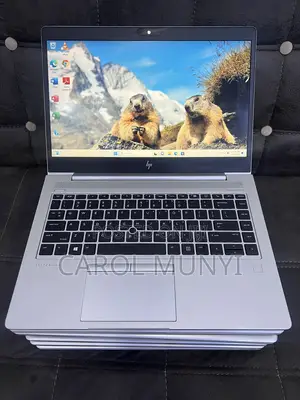 Laptop HP EliteBook 745 G6 8GB AMD Ryzen 7 SSD 256GB