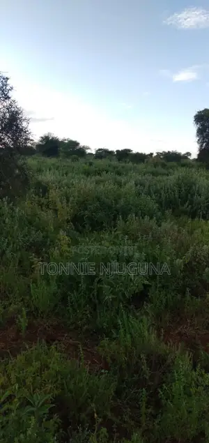 60 Acres Land Kimana Town, Oloitoktok