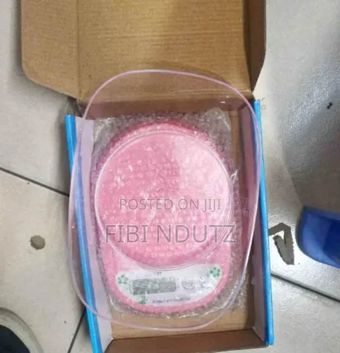 Mini Bowl Weighing Scale/Mini Scale