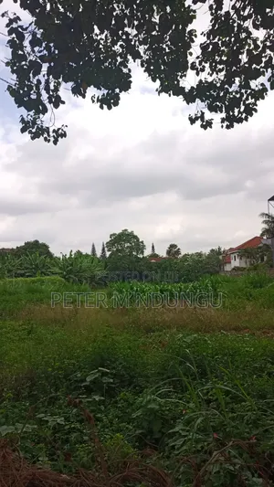 Thome 1- Prime Residential 1/2 Acre on Sale, Red Soil