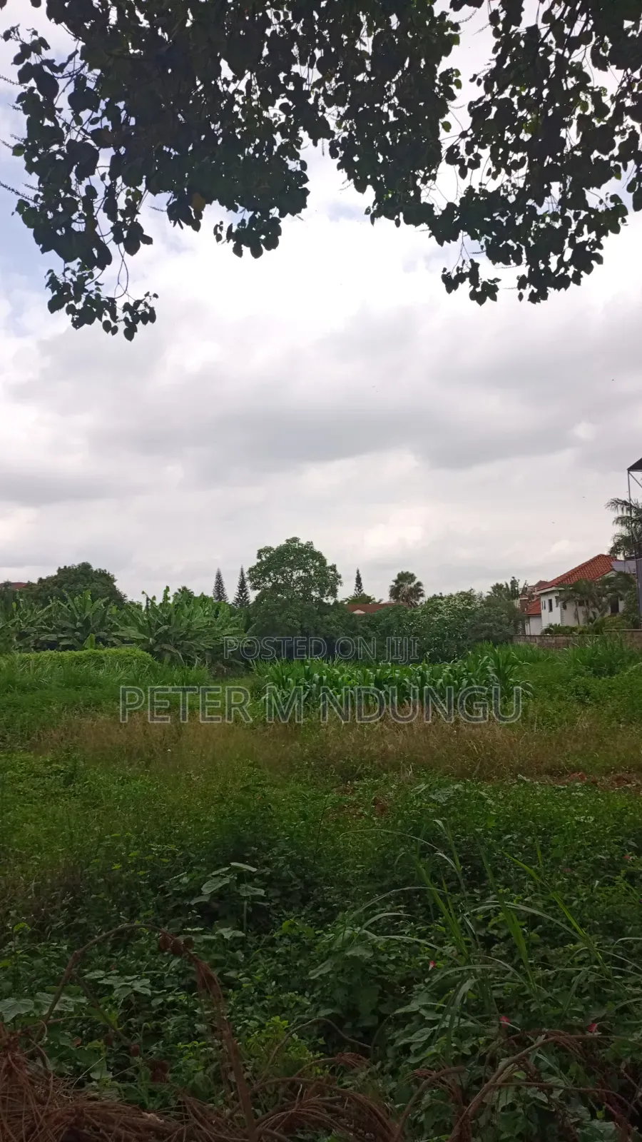 Thome 1- Prime Residential 1/2 Acre on Sale, Red Soil