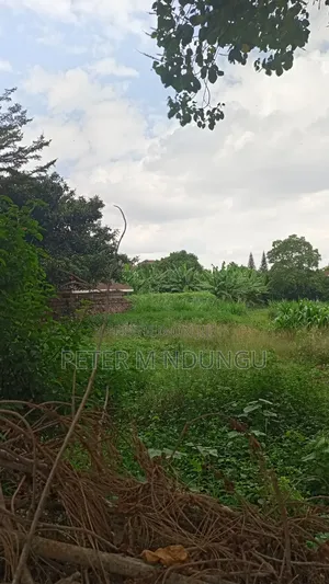 Thome 1- Prime Residential 1/2 Acre on Sale, Red Soil