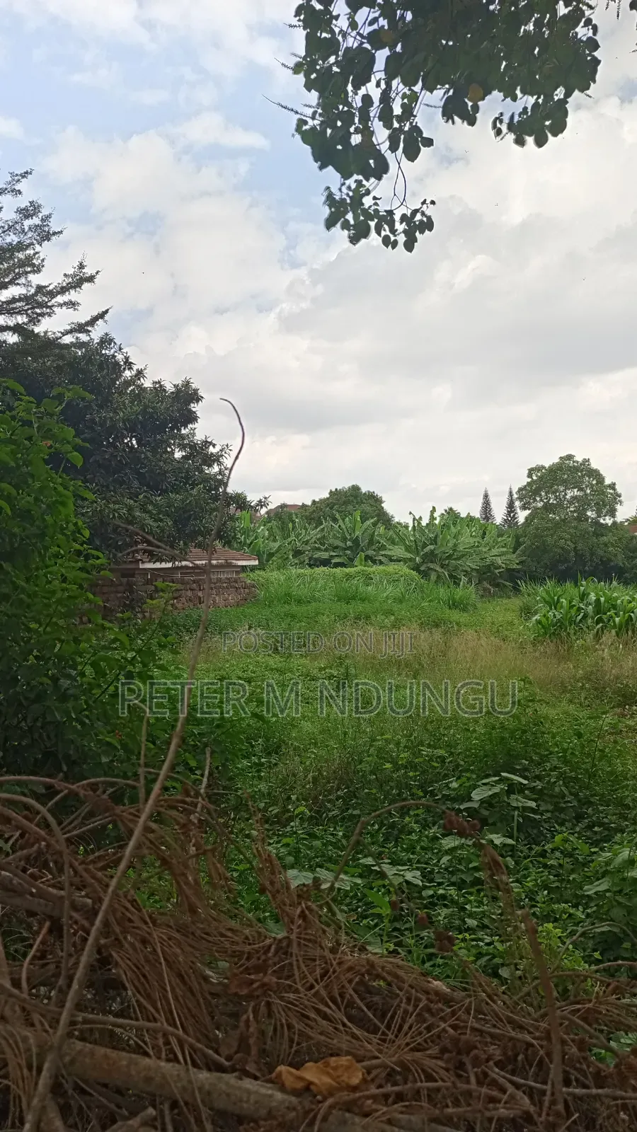 Thome 1- Prime Residential 1/2 Acre on Sale, Red Soil