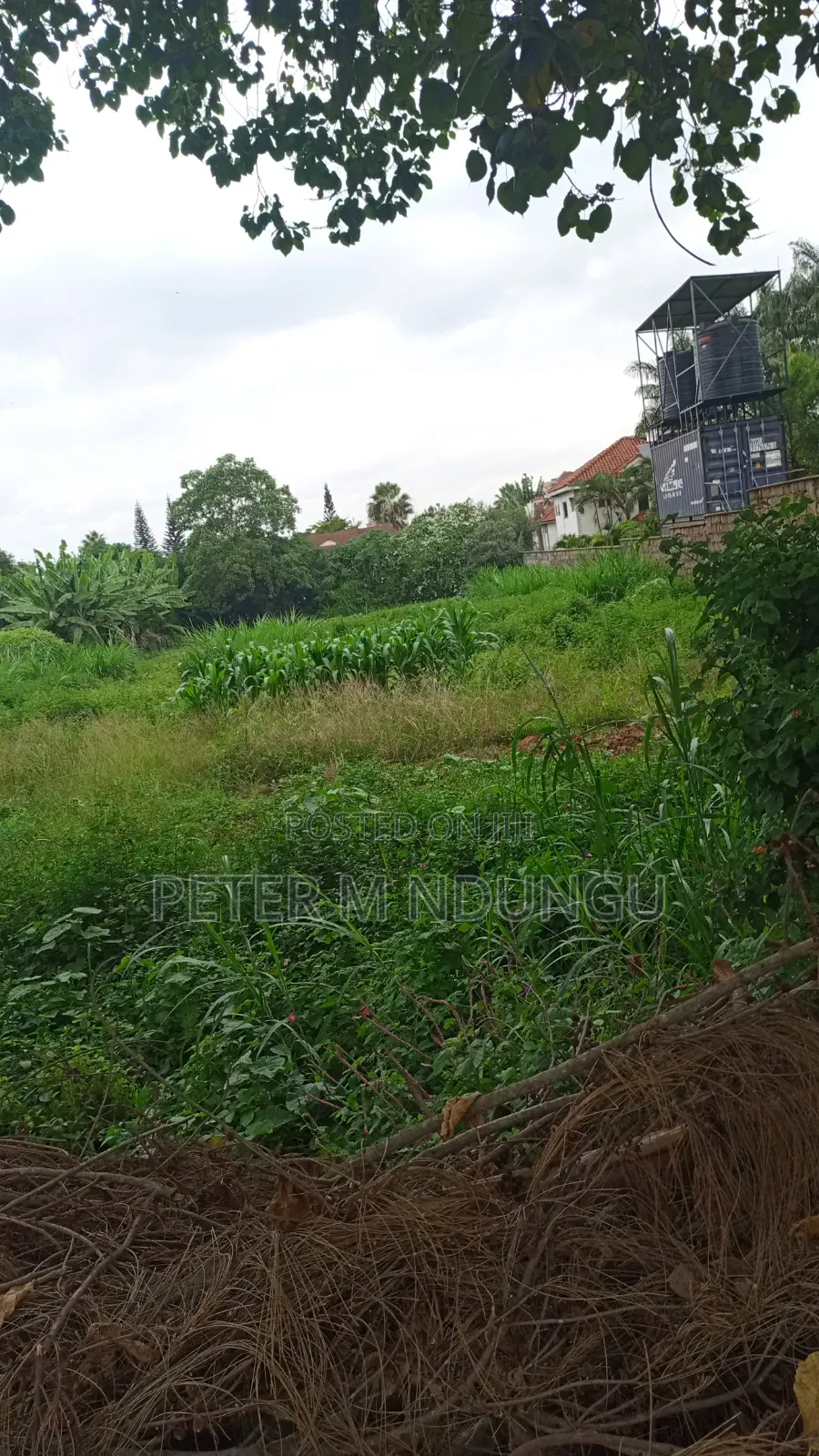 Thome 1- Prime Residential 1/2 Acre on Sale, Red Soil