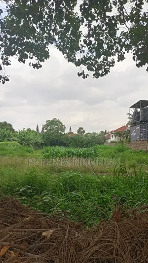 Thome 1- Prime Residential 1/2 Acre on Sale, Red Soil
