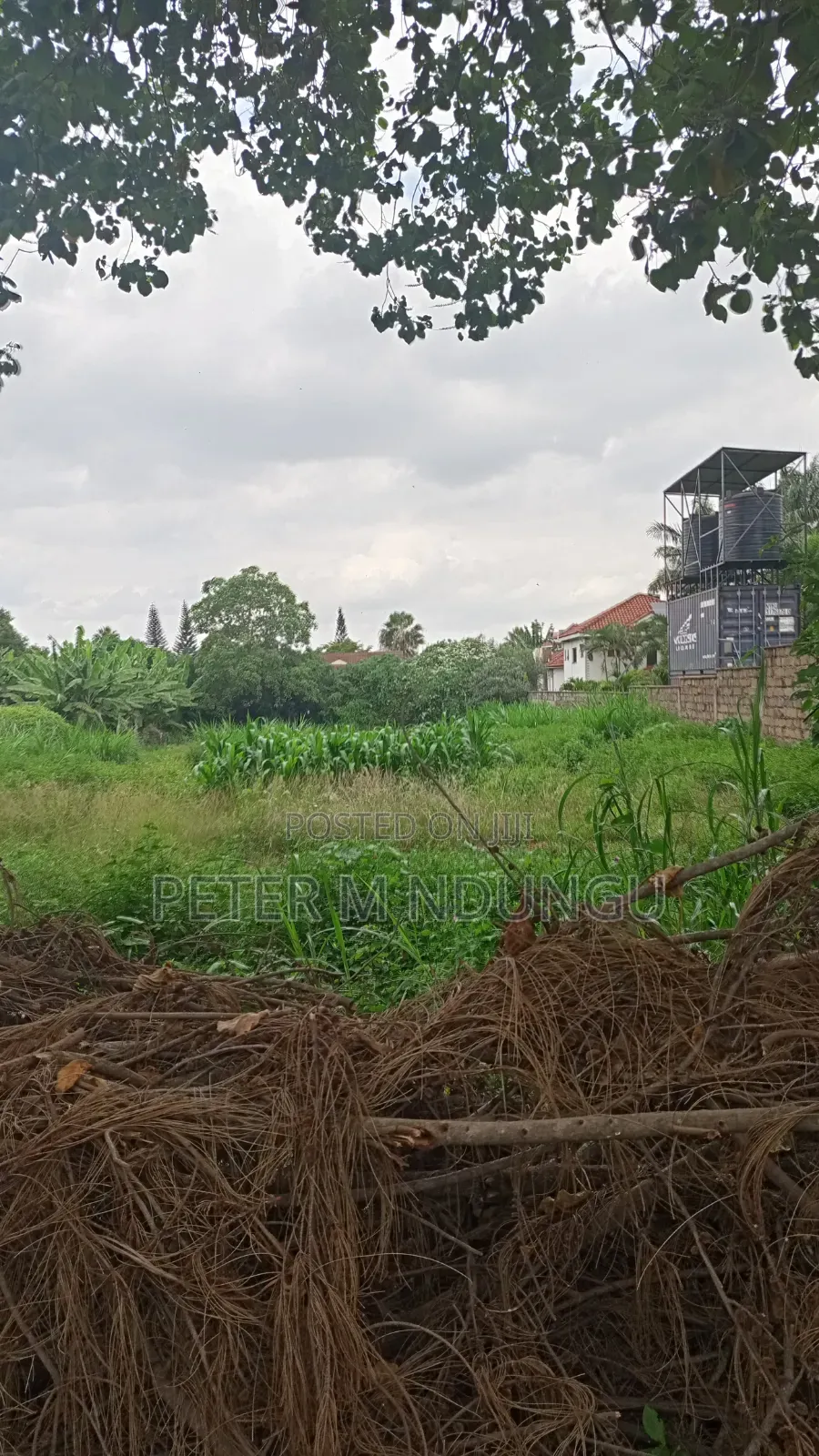 Thome 1- Prime Residential 1/2 Acre on Sale, Red Soil