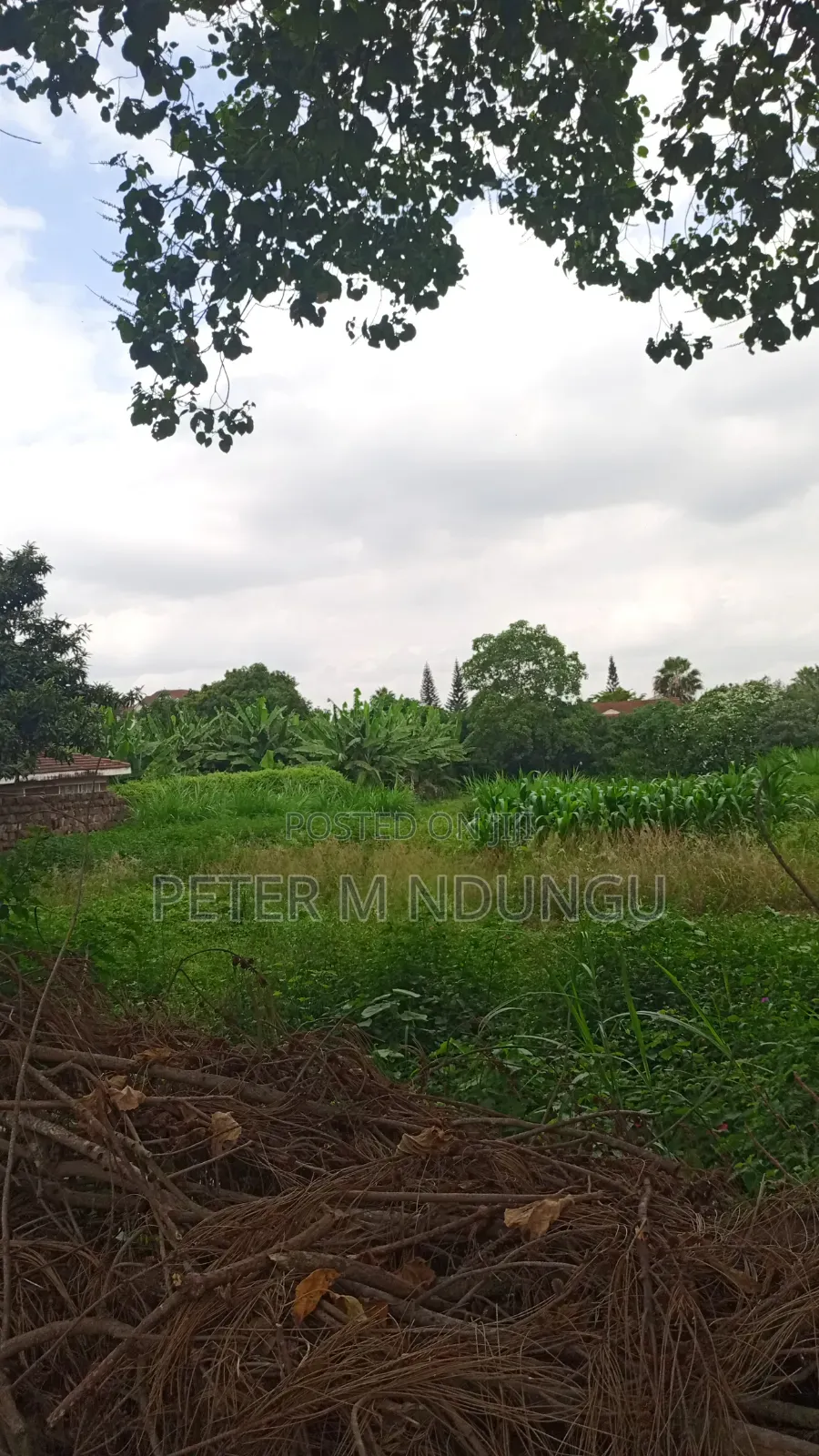 Thome 1- Prime Residential 1/2 Acre on Sale, Red Soil