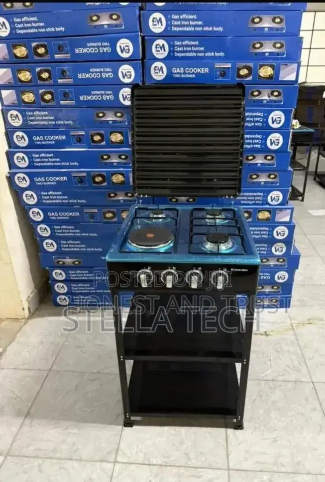 Electromate 3+1 Standing Cooker