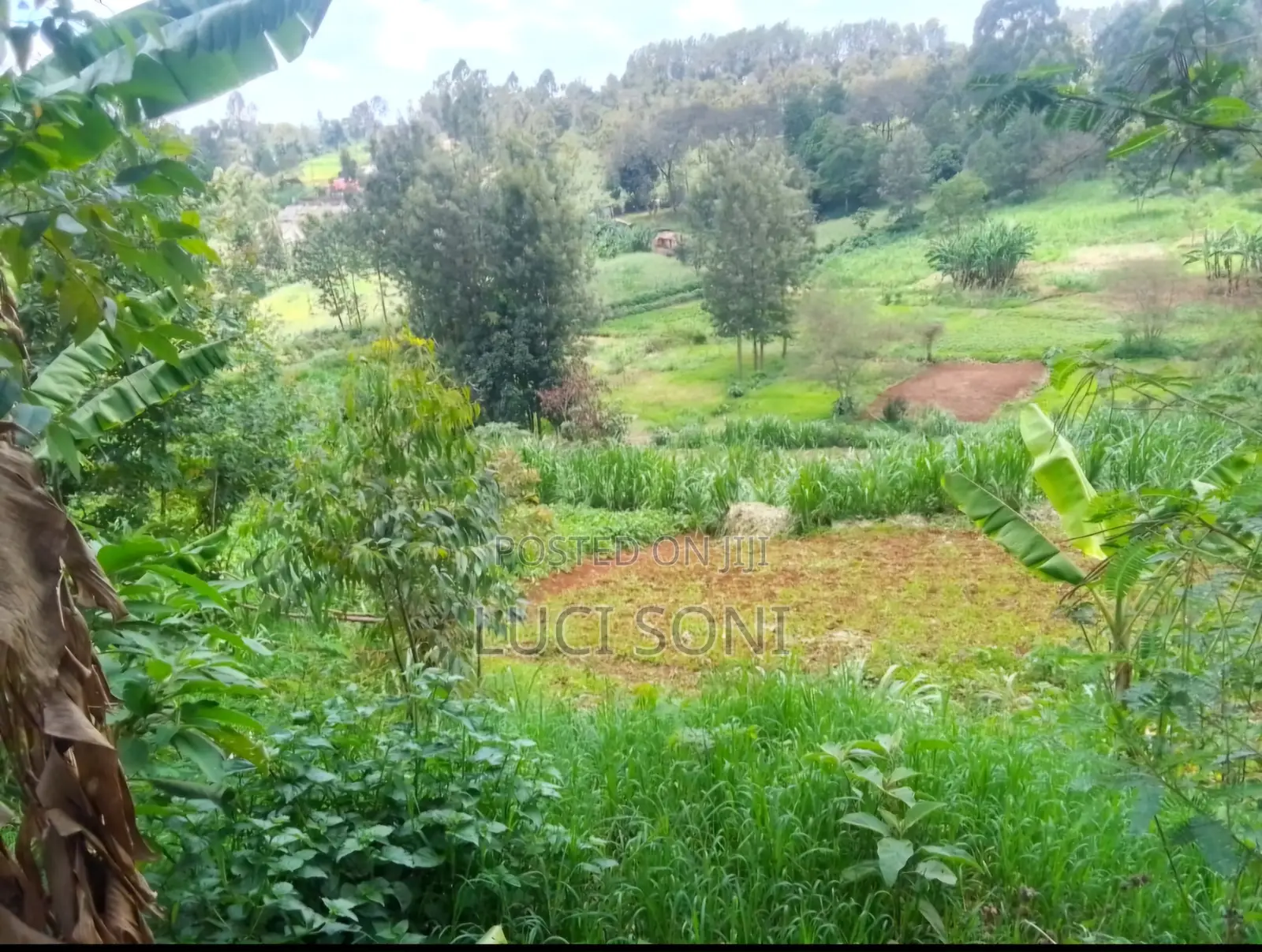 1 Acre, Prime Plot on Kirawa Road, Old Kitusuru Mwimuto | 85 M