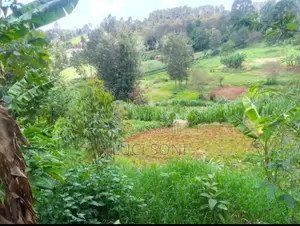1 Acre, Prime Plot on Kirawa Road, Old Kitusuru Mwimuto | 85 M