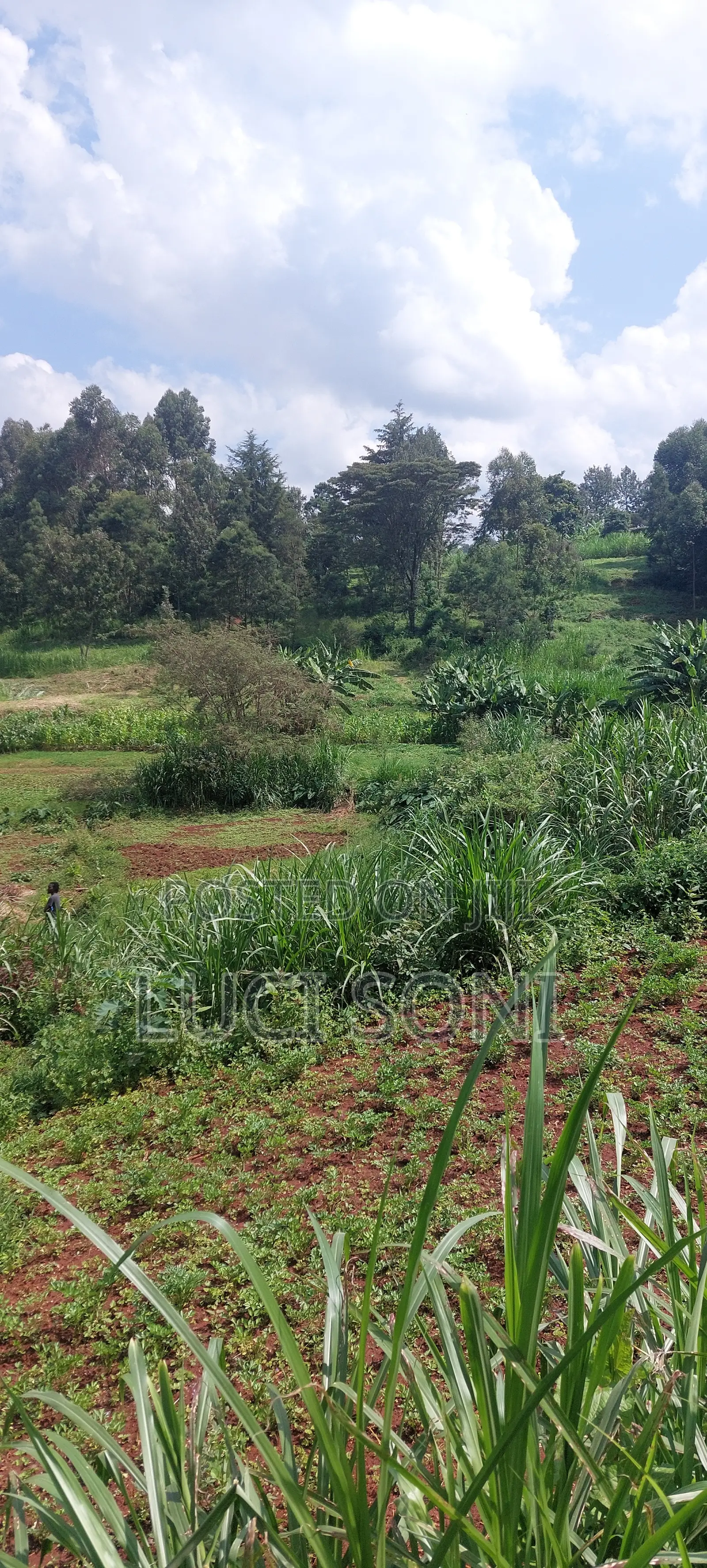 1 Acre, Prime Plot on Kirawa Road, Old Kitusuru Mwimuto | 85 M