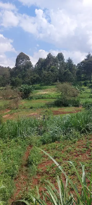 1 Acre, Prime Plot on Kirawa Road, Old Kitusuru Mwimuto | 85 M