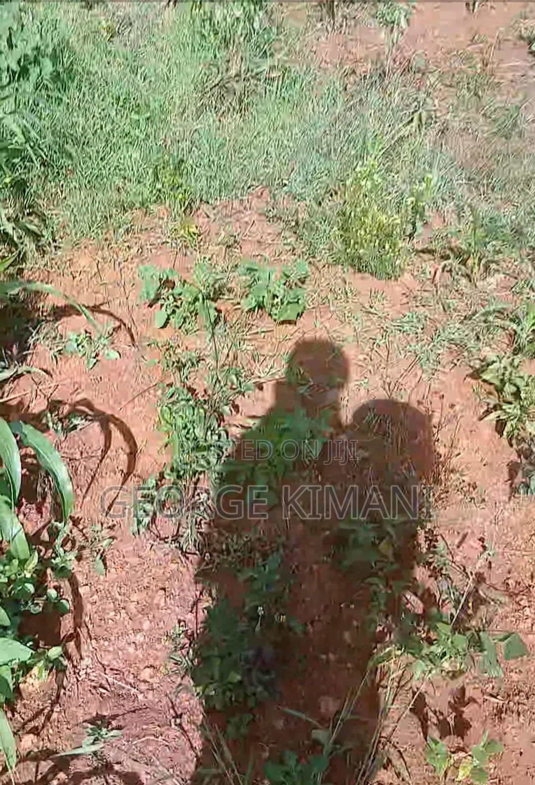 Plot for Sale