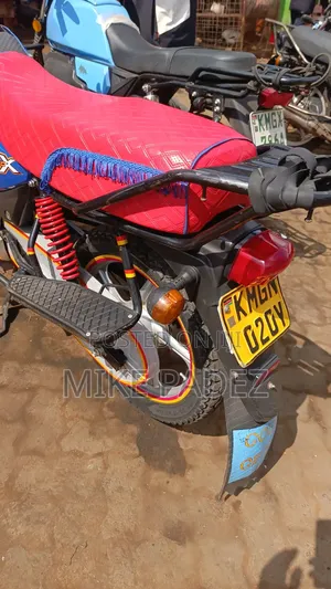 TVS HLX Plus ES 2024 Blue
