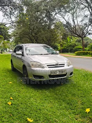 Toyota Corolla RunX 1.5 X FWD 2006 Silver