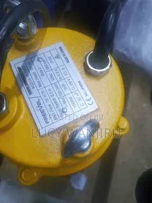 Brand New Sewage Pump