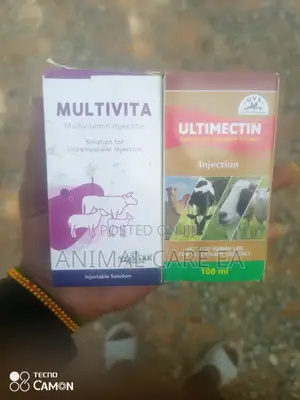 Pet Treatment