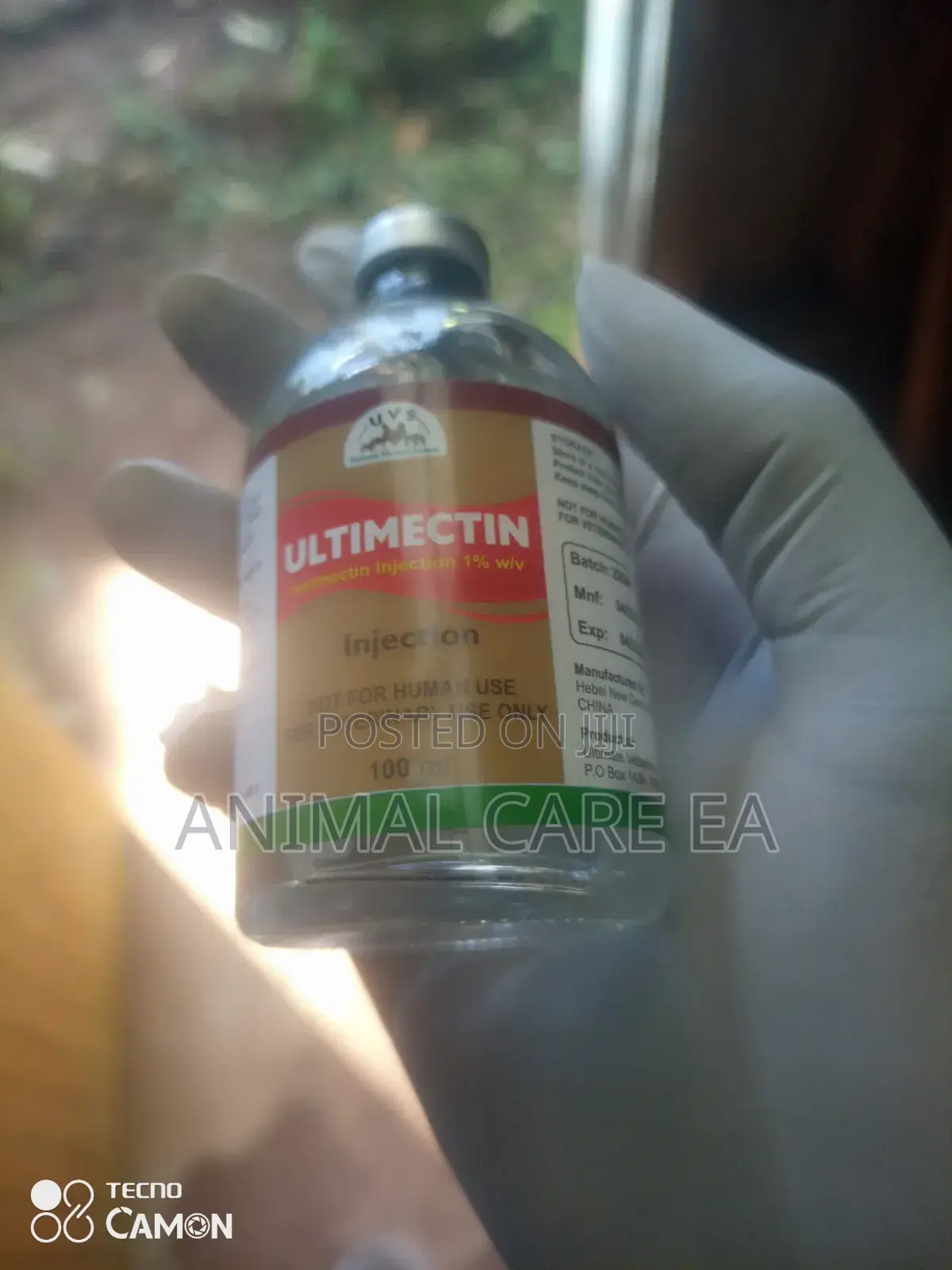 Pet Treatment