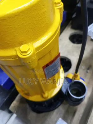 1500w Sewage Pump