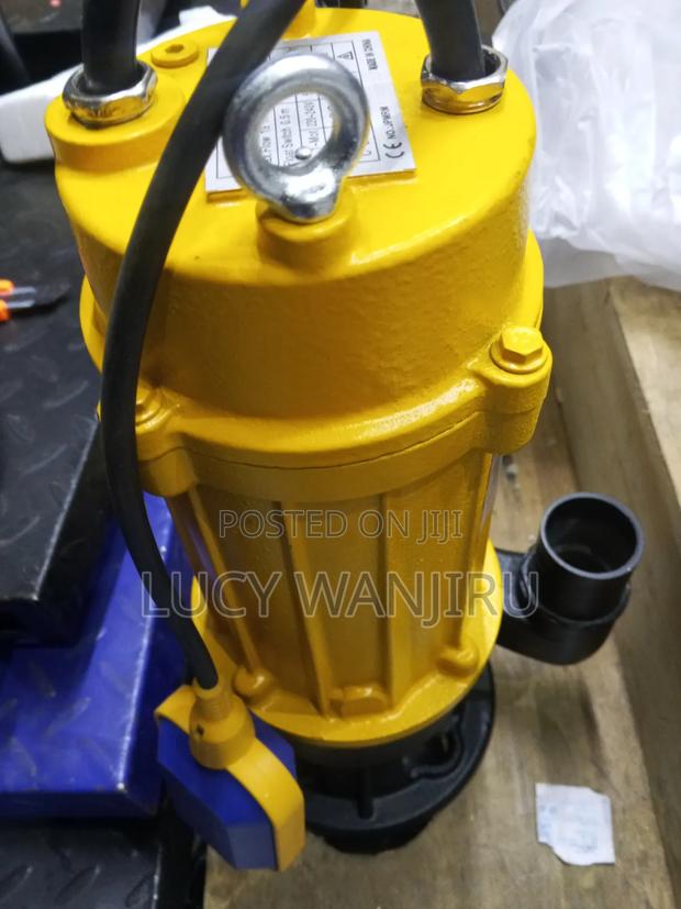 Powerful 2hp Submerged Pump