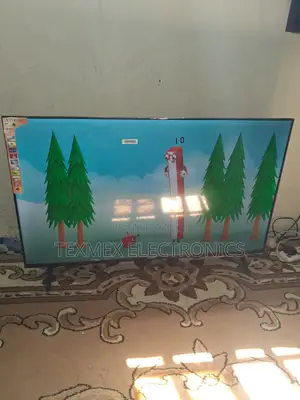 Television