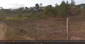Prime Virgin Land in Kilifi