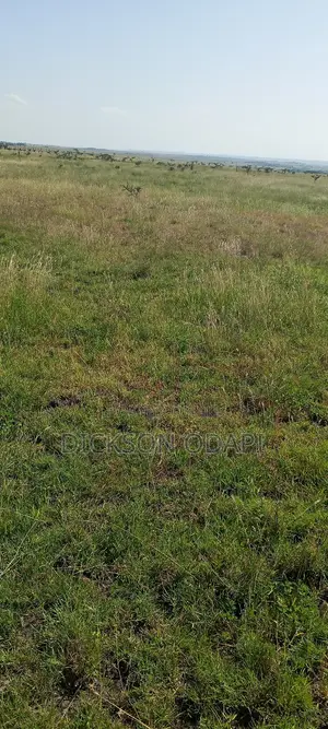 50×100 Plot For Sale In Konza