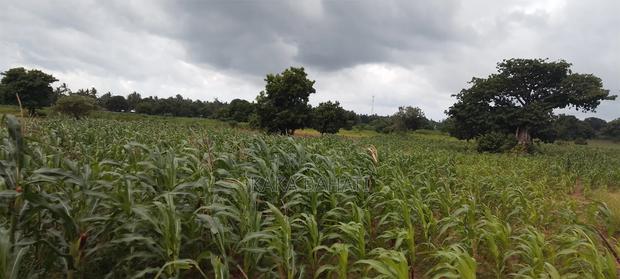 1 Acre of Land - thumbnail 2