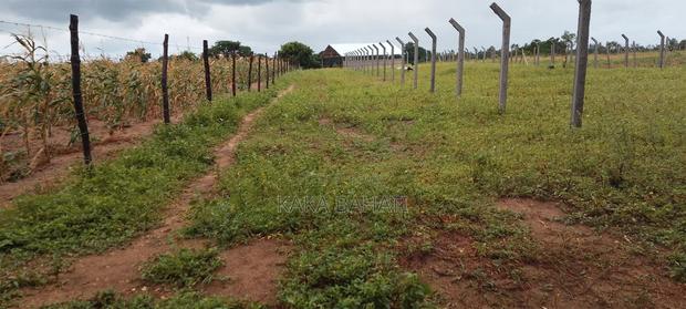 1 Acre of Land - thumbnail 3