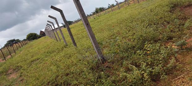 1 Acre of Land - thumbnail 4