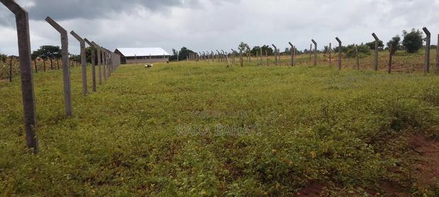 1 Acre of Land - thumbnail 5
