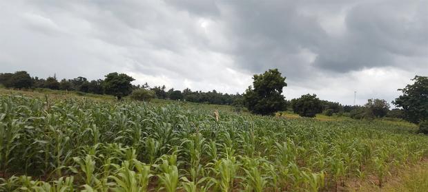 1 Acre of Land - thumbnail 7