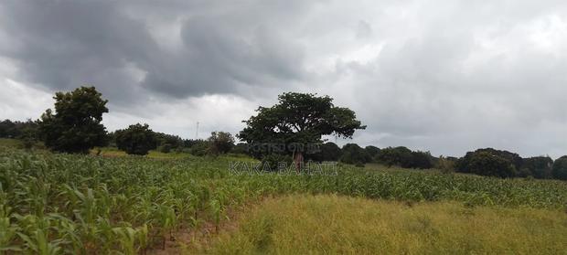 1 Acre of Land - thumbnail 8