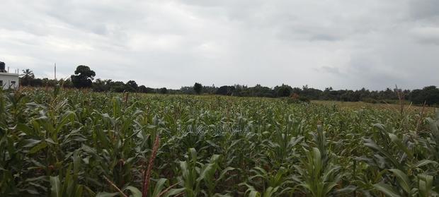 1 Acre of Land - thumbnail 9