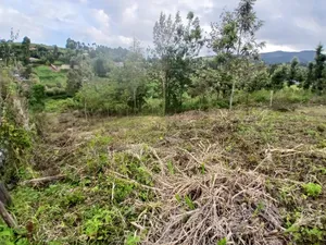 Prime Quarter Acre Plot in Upper Matasia 1.2kms Off Tarmac