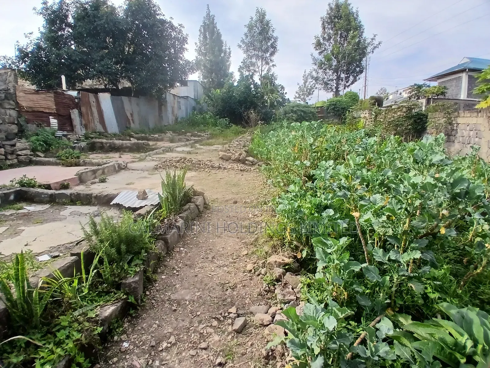 Prime Commercial Eighth Acre Plot in Kiserian Town