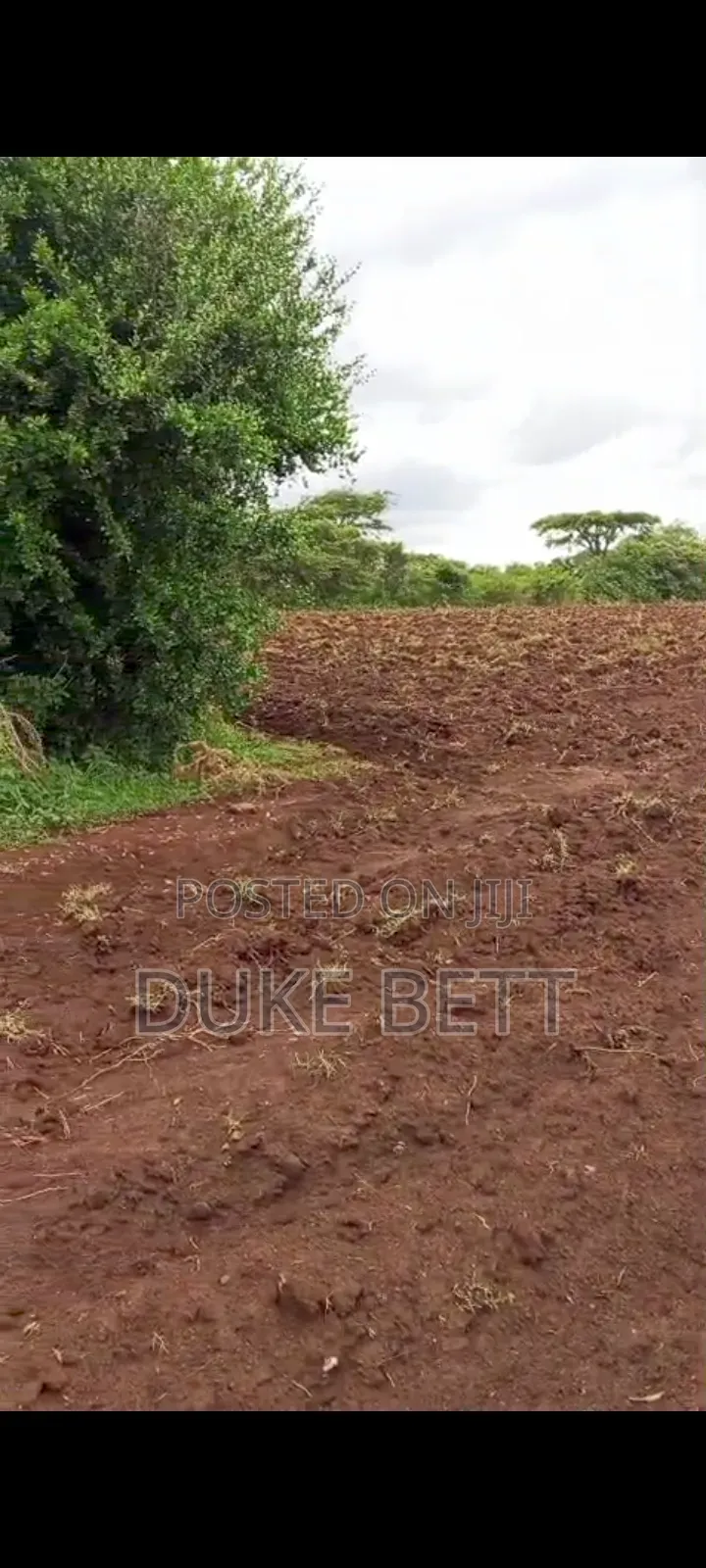 4 Acres Land on Sale