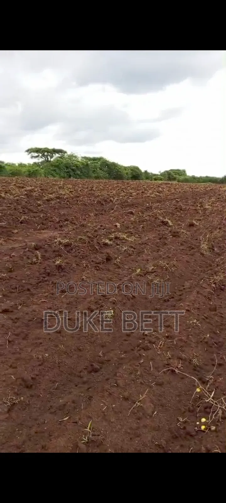 4 Acres Land on Sale