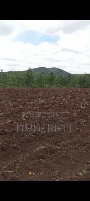 4 Acres Land on Sale