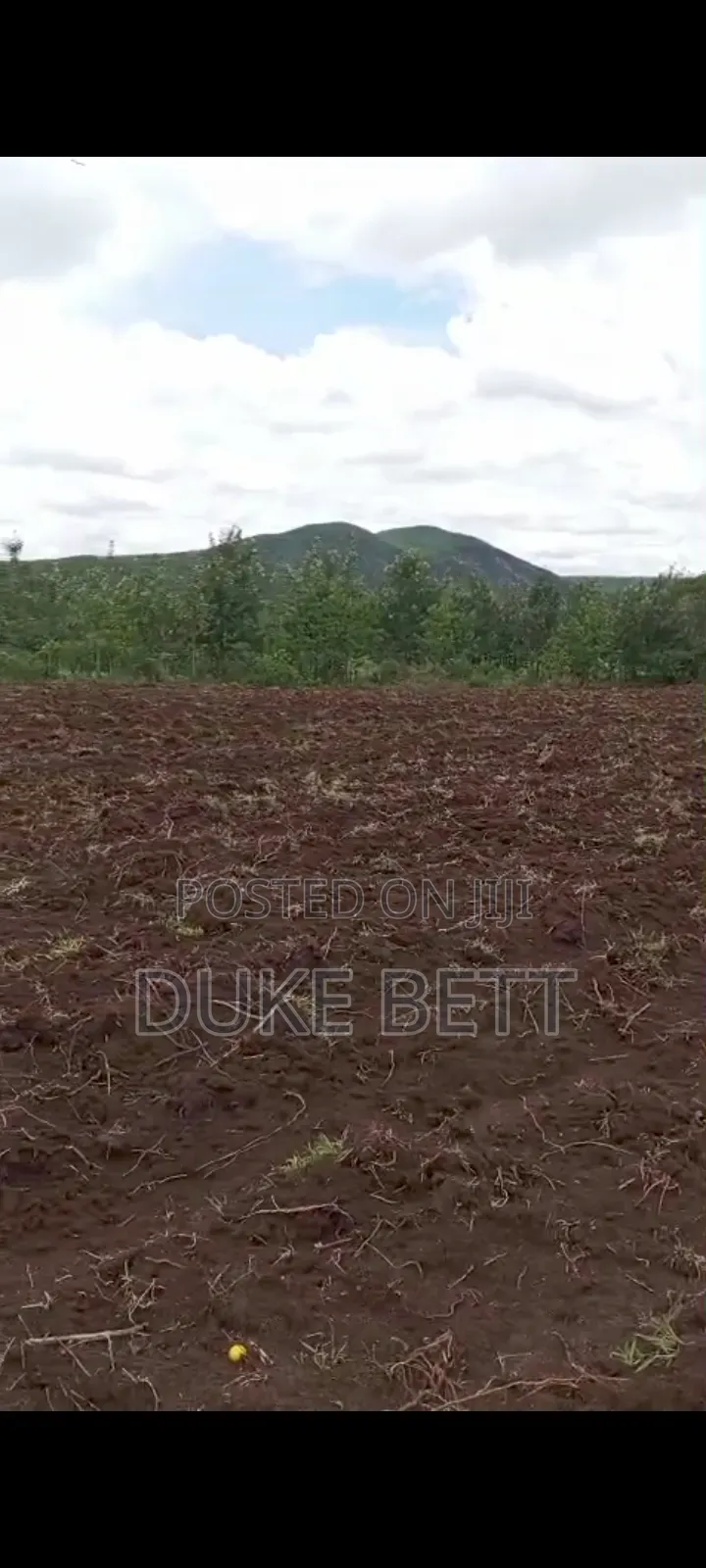 4 Acres Land on Sale